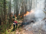 Hà Tĩnh: Cháy lớn tại núi Nầm, hàng trăm người tích cực dập lửa