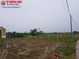 Xã Đồng Liên – TP. Thái Nguyên: Dự án trồng hoa... lại trồng lúa, ngô khiến người dân bức xúc