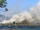 Đà Nẵng: Cháy lớn ở rừng tràm dưới chân núi Sơn Trà