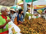 Khánh Hòa: Tổ chức lễ hội trái cây huyện Khánh Sơn lần thứ I năm 2019