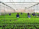 Việt Nam sẽ có 100.000 doanh nghiệp nông nghiệp vào năm 2030
