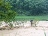 Thanh Hóa: Trưởng Công an xã hi sinh khi làm nhiệm vụ trong mưa lũ