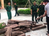 Hà Tĩnh: Bắt vụ vận chuyển gỗ lậu và ma túy tổng hợp trái phép từ Lào về Việt Nam