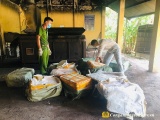 Lạng Sơn: Tiêu hủy hơn 500 kg nầm lợn nhập lậu