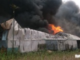 TPHCM: Nhà xưởng ở Hóc Môn bốc cháy ngùn ngụt giữa trưa