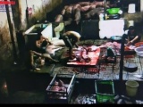 Khánh Hòa: Lò giết mổ heo không phép gây ô nhiễm môi trường