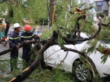 Hà Nội: Cây đổ ngổn ngang sau mưa lớn, 1 người tử vong