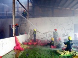 An Giang: Cháy công ty sản xuất nệm ở khu công nghiệp Bình Hòa