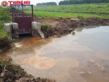 Bắc Ninh: Nhà máy chiết xuất dầu thực vật Dabaco có xả thải ra môi trường?!