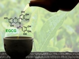 Trà xanh đóng chai nào có hàm lượng dưỡng chất EGCG cao nhất hiện nay?