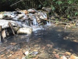 Công an Hoà Bình, Hà Nội vào cuộc vụ nước sạch Sông Đà bị nhiễm dầu