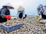 Thêm 3 loại thủy sản Việt Nam được xuất khẩu vào Trung Quốc