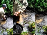 Khởi tố vụ án hình sự đổ dầu thải vào nguồn nước sông Đà