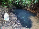 Bắt 2 nghi phạm đổ dầu thải vào nguồn nước sông Đà