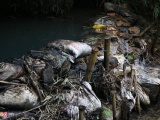 Triệu tập một số người nghi liên quan vụ gây ô nhiễm nước sạch sông Đà
