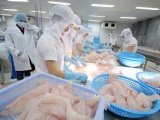 665 doanh nghiệp thủy sản Việt Nam được xuất khẩu sang Trung Quốc