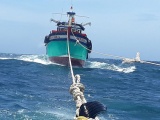 Cứu 8 ngư dân Bình Định gặp nạn trên biển 