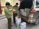 Lạng Sơn: Phát hiện 620 kg củ cải đã qua sơ chế nhập lậu từ Trung Quốc
