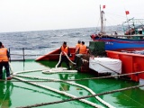 Nghệ An: Cứu nạn thành công 9 ngư dân cùng tàu cá gặp nạn trên biển