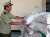 Phú Yên: Tạm giữ 30 tấn đường không rõ nguồn gốc