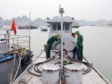 Quảng Ninh: Bắt giữ tàu chở 3.000 lít dầu DO không rõ nguồn gốc
