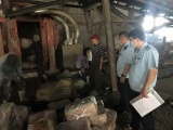 Quảng Ninh: Tiêu hủy gần nửa tấn chả mực nhập lậu từ Trung Quốc 