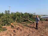 Viết tiếp bài huyện Mê Linh (Hà Nội): Quanh việc cưỡng chế trang trại của ông Nguyễn Văn Tuyến
