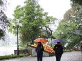 Dự báo thời tiết ngày 19/11: Bắc Bộ trở rét, Trung Bộ mưa to