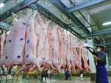Giá thịt lợn tăng 'sốc', Bộ Công Thương khuyên dùng thịt đông lạnh