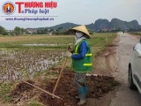 Thanh Hóa: Đơn vị quản lý thuê người bốc đất ruộng đắp sửa tỉnh lộ xuống cấp