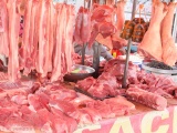 Giá thịt lợn có xu hướng giảm nhẹ và ổn định 