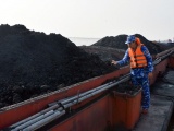 Hải Phòng: Tạm giữ 500 tấn than không rõ nguồn gốc