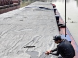 Quảng Ninh: Bắt giữ 450 tấn than xít không rõ nguồn gốc