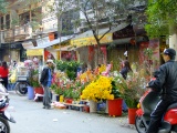 Hà Nội cấm đường một loạt tuyến phố cổ để tổ chức chợ hoa Xuân