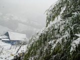 Dự báo thời tiết ngày 17/2: Bắc Bộ rét đậm, vùng núi có băng giá