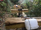 Kon Tum: Giao Công an tỉnh điều tra vụ phá rừng ở Đăk Tô