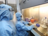 Việt Nam sắp xuất khẩu Kit thử virus SARS-CoV-2