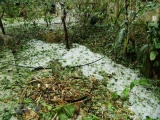 Điện Biên: Giông lốc, mưa đá gây thiệt hại khoảng 1 tỷ đồng