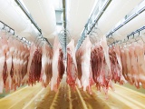 1.500 tấn thịt lợn nhập khẩu từ Nga đã về Việt Nam