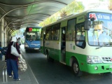 TP HCM tạm dừng toàn bộ hoạt động xe buýt từ 1/4