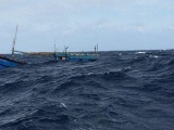 8 ngư dân Quảng Ngãi gặp nạn đã an toàn