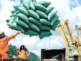 Đã có 40 doanh nghiệp mở tờ khai xuất khẩu gạo