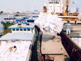 Thủ tướng chỉ đạo thanh tra đột xuất việc xuất khẩu gạo