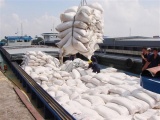 Tổng cục Hải quan hướng dẫn mở khai xuất khẩu gạo nếp