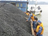 Quảng Ninh: Bắt giữ gần 200 tấn than không rõ nguồn gốc