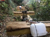 Tỉnh Kon Tum chỉ đạo điều tra, xử lý nghiêm vụ phá rừng sau khi báo chí phản ánh