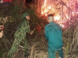 Nghệ An: Lực lượng Ban Chỉ huy Quân sự huyện Tương Dương dũng cảm khống chế thành công cháy rừng