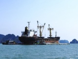 Vận tải biển Việt Nam tìm đường phục hồi sau dịch COVID-19