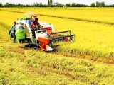EVFTA – Tạo động lực cho nông nghiệp Việt Nam
