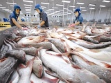 Giải pháp đẩy mạnh tiêu thụ cá tra ở thị trường nội địa